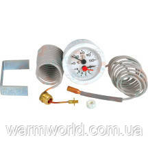 39806020 ТермоМанометр Ferroli, фото 1