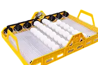 Лоток автоматического переворота для инкубатора на 72 яйца с мотором 220в