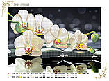Схема для вишивки бісером "Біла орхідея", квіти, фото 2