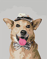 Картина по номерам собака Мистер Пес 40*50см Рисование по номерам на холсте животные Картины в цифрах Брашми