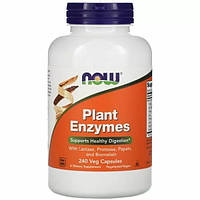 Plant Enzymes NOW (240 вег капсул)