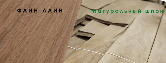 Горіх Европейський