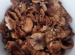 Підпеньки / Опеньки гриби (капелюшки), 100г.