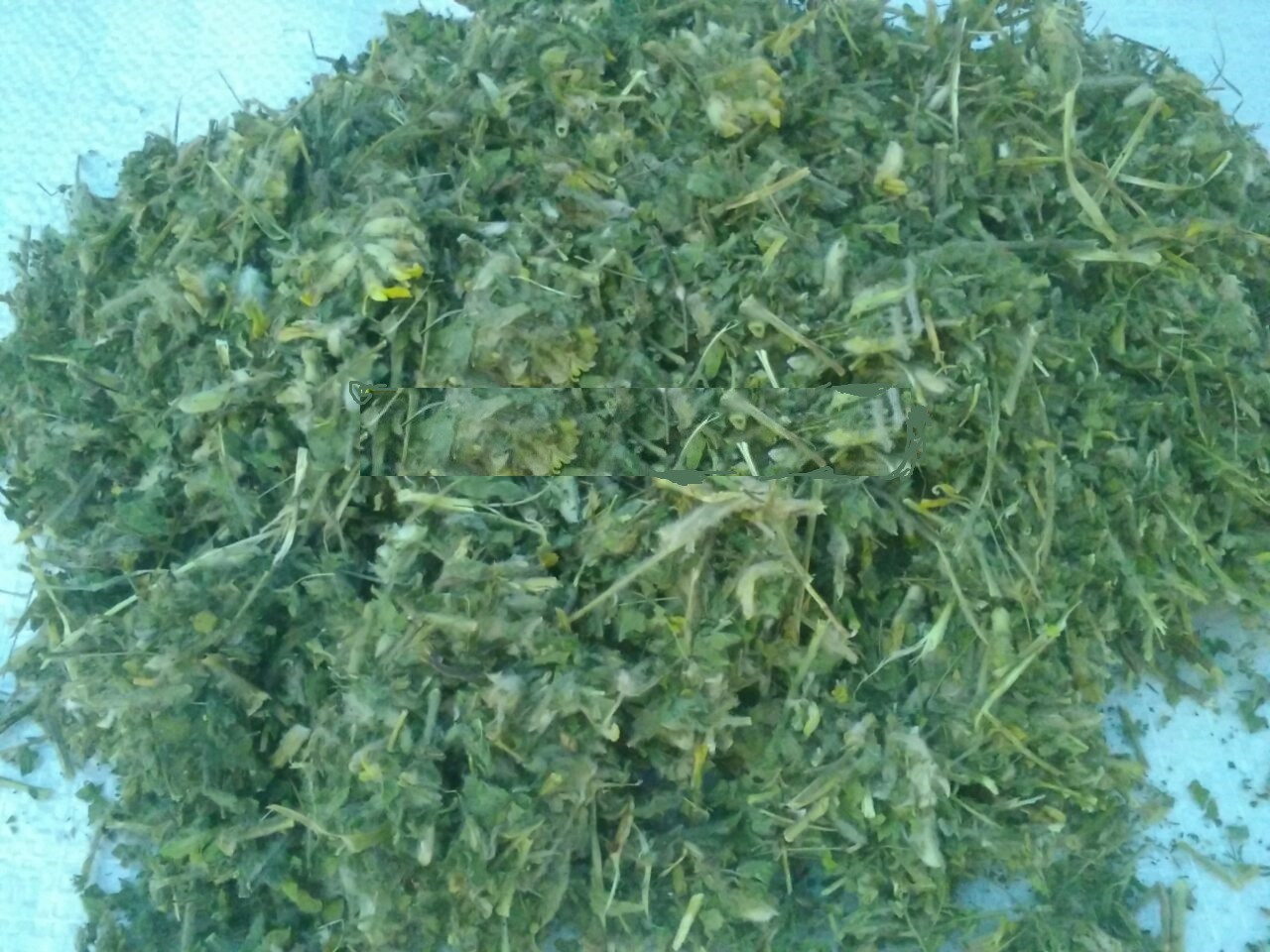 100г., Астрагал шерстистоквітковий (трава), фото 1