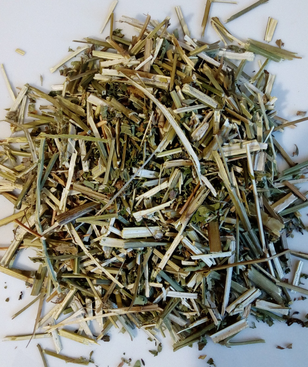 Лофант анісовий, 100г., фото 1