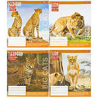 Зошит 24 аркушів ЛІНІЯ «Мрії збуваються» / ВЕЛИКІ КІШКИ