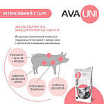 БМВД для свиней 12-30 кг AVA UNI Стартер 25% - 25 кг, фото 5