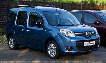 Амортизатор задній Renault Kango від 2008g. з двигунами 1.5 1.6, Рено кенго задні амортизатори, фото 3