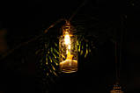 LED гірлянда з 20 міні баночок з декором, фото 4