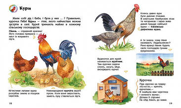 Енциклопедія дошкільника "Свійські тварини" RANOK (УКР) топ