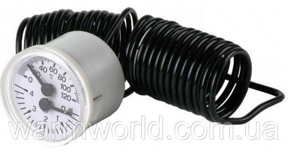 39820100 Термоманометр Ferroli, фото 1