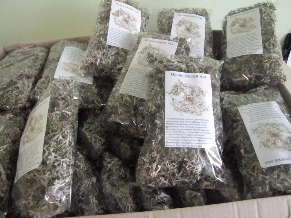 50шт*50грам., Ісландський мох / Ісландський мох