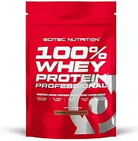 Scitec Nutrition 100% Whey Protein Professional 500 g ( Сывороточный протеин )