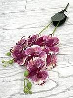 Декоративная орхидея из латекса с листиками и корешками ( 55 см )
