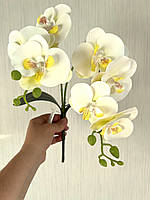 Штучна орхідея з латексу з листиками та корицями (55 см), фото 5