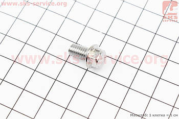Болт M6x10mm (під ключ)