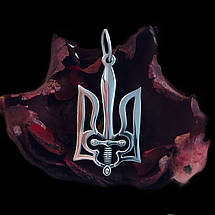 Тризуб-Герб України, ПС, Тризуб з Мечем Україна, Кулон, Амулет, Підвіс, Срібло, Золото, фото 3