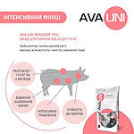 БМВД для свиней 65-110 кг AVA UNI Фініш 10%. Упаковка 25 кг., фото 5