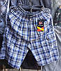 Шорти бриджі чоловічі в клітку норма, фото 4