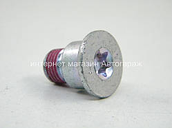 Болт кріплення переднього гальмівного диску Мерседес Спринтер 208-416 01-06 MERCEDES (Оригінал) 0019900914