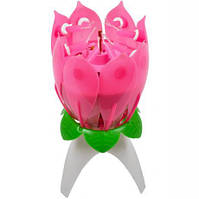 Свічка для торта музична "Квітка" KNZ