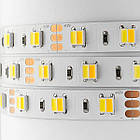 Світлодіодна стрічка OEM ST-12-5050-60-WW/CW-20 DOUBLE CCT, негерметична, 1 м, фото 3