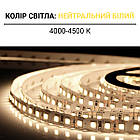Світлодіодна стрічка OEM ST-12-2835-120-NW-20-V3 нейтральна біла, негерметична, 1 м, фото 5