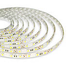 Світлодіодна стрічка OEM ST-12-5050-60-WW-65-V2 тепла біла, герметична, 1 м, фото 3