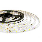 Світлодіодна стрічка OEM ST-12-2835-60-G-65 зелена, герметична, 1м, фото 3