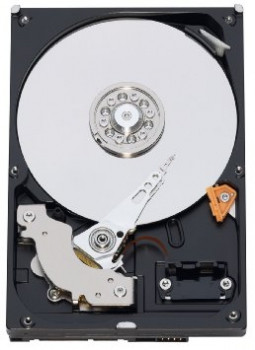 Накопичувач WD 320GB 7200rpm 8MB SATA II (WD3200AAJS)