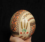 Писанка зі страусиного яйця, писанки зі страусиних яєць ручної роботи, фото 3