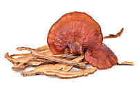 Сушеные грибы рейши Ganoderma Iucidum в упаковке 100г