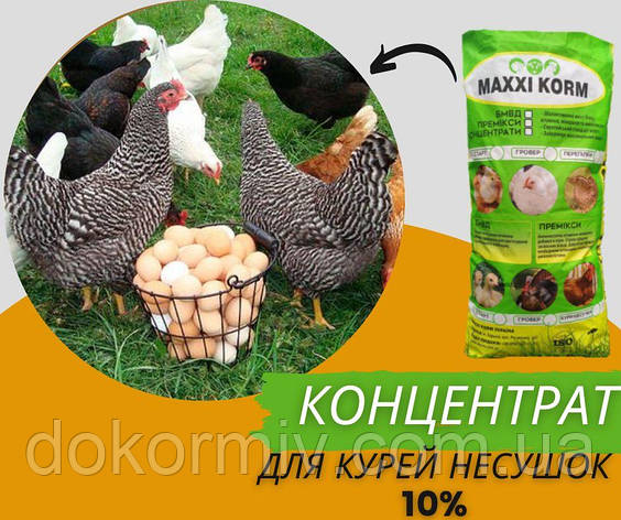 Концентрат 10% для курей-несучок, фото 1