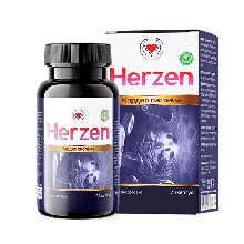 Herzen (Герцен) – капсули від гіпертонії