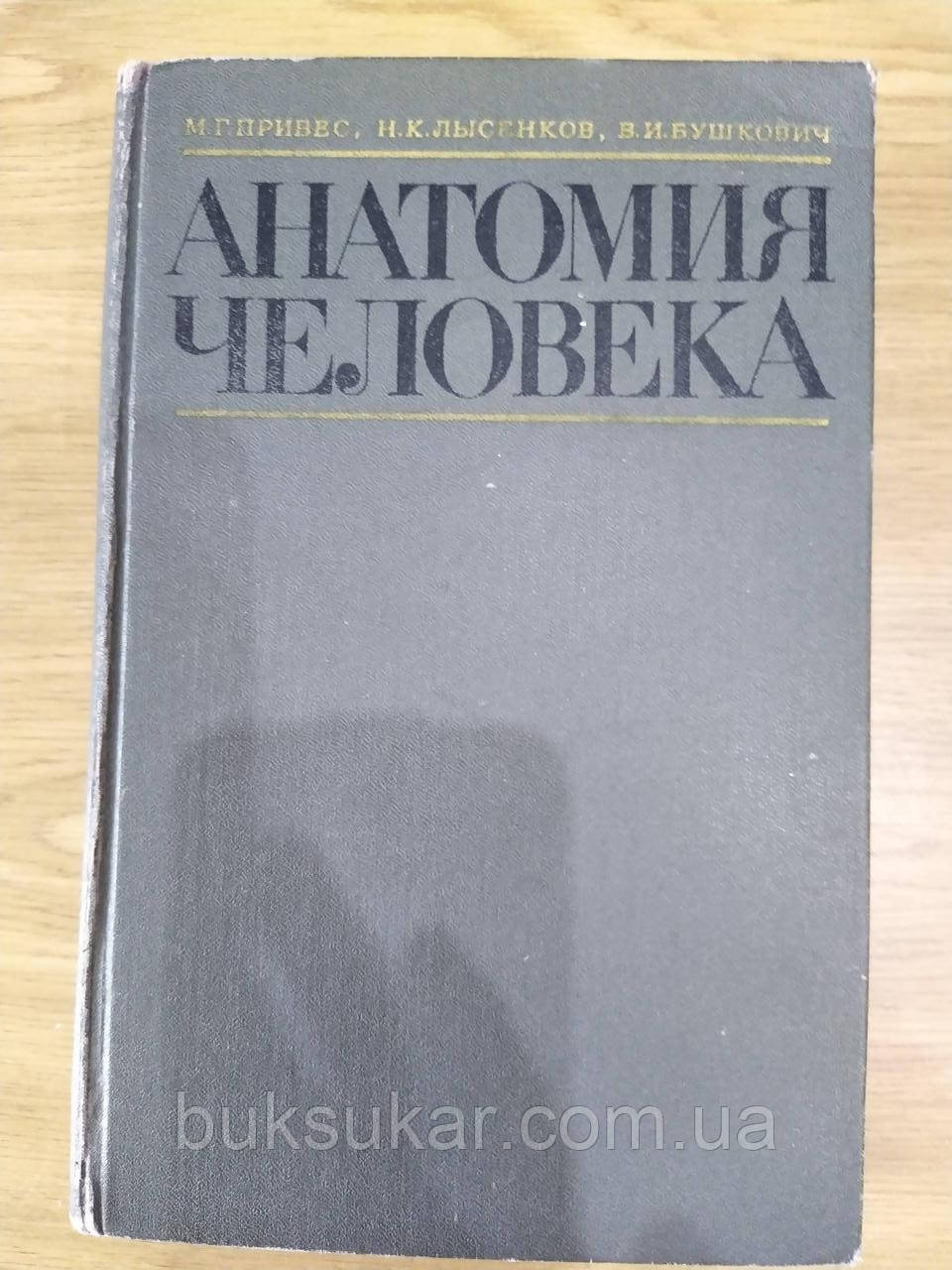 Книга Анатомия Человека Б/у — Купить Недорого на Bigl.ua (1649131245)