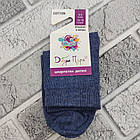 Шкарпетки дитячі високі весна/осінь бавовна однотонне асорті р.16-18 ( 4-6) Добра Пара Україна 30032464, фото 2