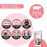 БВМД для свиней універсальний 12-110 кг AVA UNI Комплекс - Стартер, Гровер, Фініш. Фасовка 25 кг, фото 7