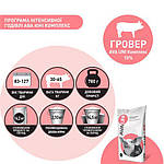 БВМД для свиней універсальний 12-110 кг AVA UNI Комплекс - Стартер, Гровер, Фініш. Фасовка 25 кг, фото 6