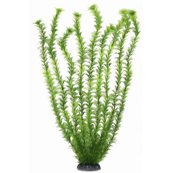 Акваріумне Aquatic Plants рослина, 68 см х 4 шт / уп (6813)