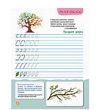 Перші прописи. Пишемо в лінійку  КН901316У, фото 2