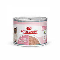 Royal Canin Babycat instinctive 195г