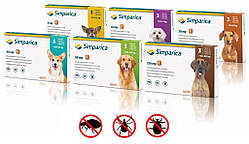 Сімпаріка Simparica жувальна таблетка від бліх та кліщів для собак 5 -10 кг (1 таблетка)