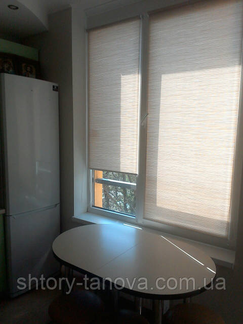 Тележүргізушіні ренжітті