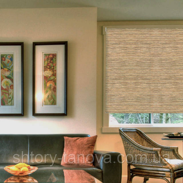 Краснодардағы транссексуалды танысу Желіде жас әйелдің мүшесі соратын видеосы