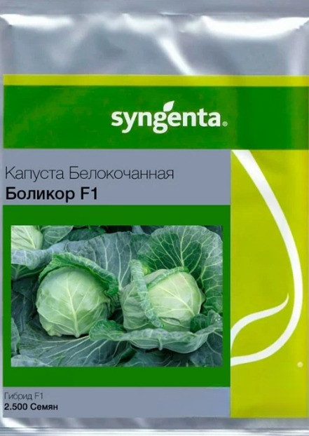 Насіння білокачанної капусти Болікор F1 2500 шт Syngenta