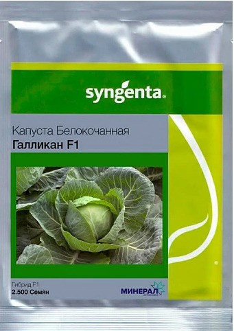 Насіння білокачанної капусти Галікан F1 2500 шт Syngenta