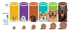 Сімпаріка ТРІО Simparica TRIO Жувальна таблетка для собак 40,1-60 кг (1 таблетка)