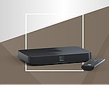 Акустична колонка активна DALI Obon ON-WALL З Black Ash, фото 5