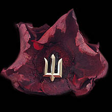 Герб України, герб ТРО, герб ЗСУ, Значок ,Тризуб, Тризубець, Тризуб ЗСУ, Тризуб ТрО, пін