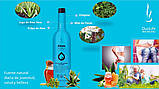 Питний Алое Дуолайф / Aloes Duolife 750 мл, фото 4